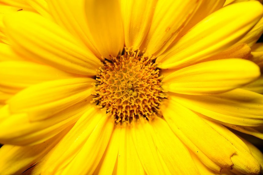 core statistics for bundles